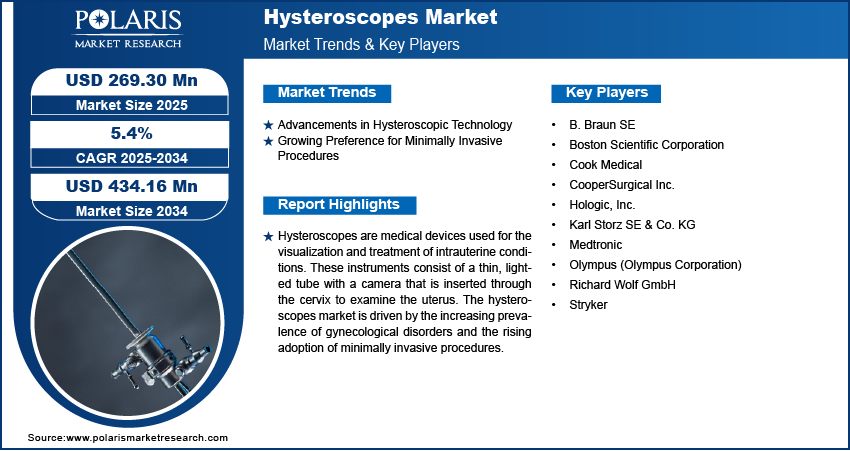 Hysteroscopes Market info size